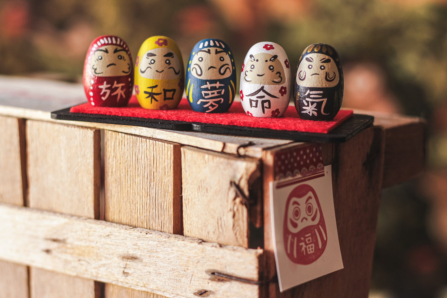 Set Daisy Goshiki Daruma